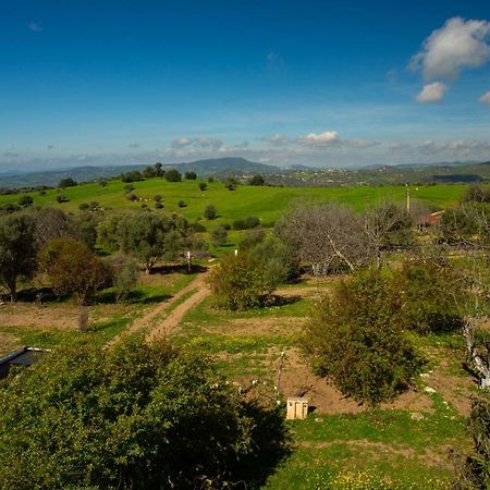 מלון Ouazzane Camping Panorama מראה חיצוני תמונה
