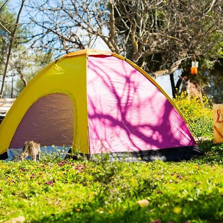 מלון Ouazzane Camping Panorama מראה חיצוני תמונה