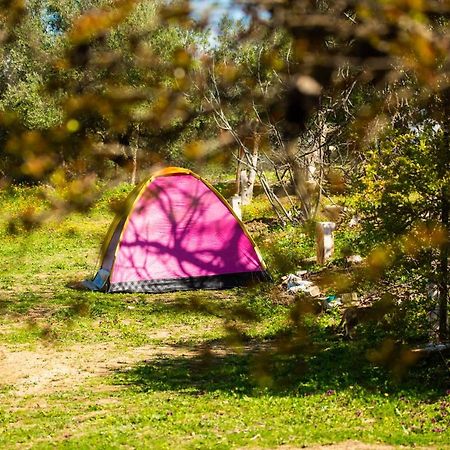 מלון Ouazzane Camping Panorama מראה חיצוני תמונה