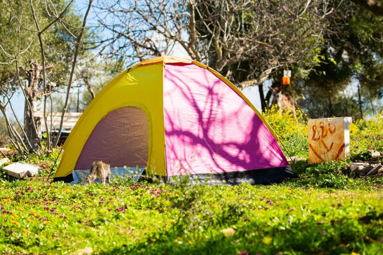 מלון Ouazzane Camping Panorama מראה חיצוני תמונה
