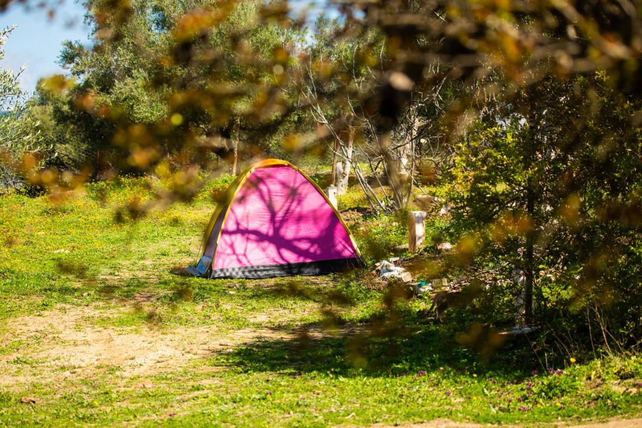 מלון Ouazzane Camping Panorama מראה חיצוני תמונה